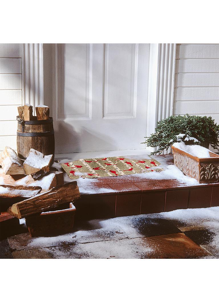 Tapis cardinaux et bouleaux