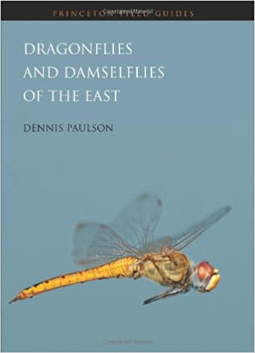 Dragonflies and Damselflies of the East Paperback – Illustrated
