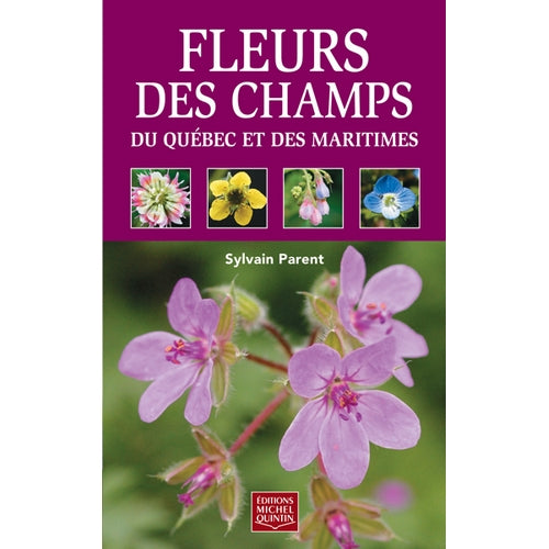 Fleurs des champs du Québec et des Maritimes