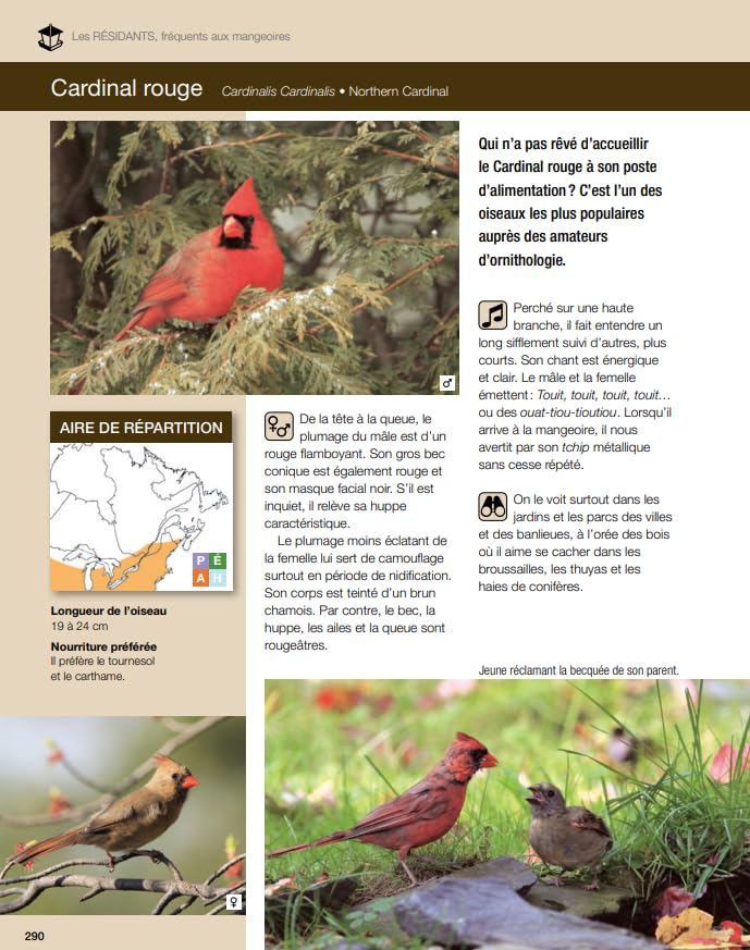 Grand livre pour attirer les oiseaux chez soi