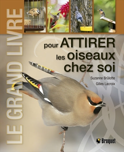 Grand livre pour attirer les oiseaux chez soi