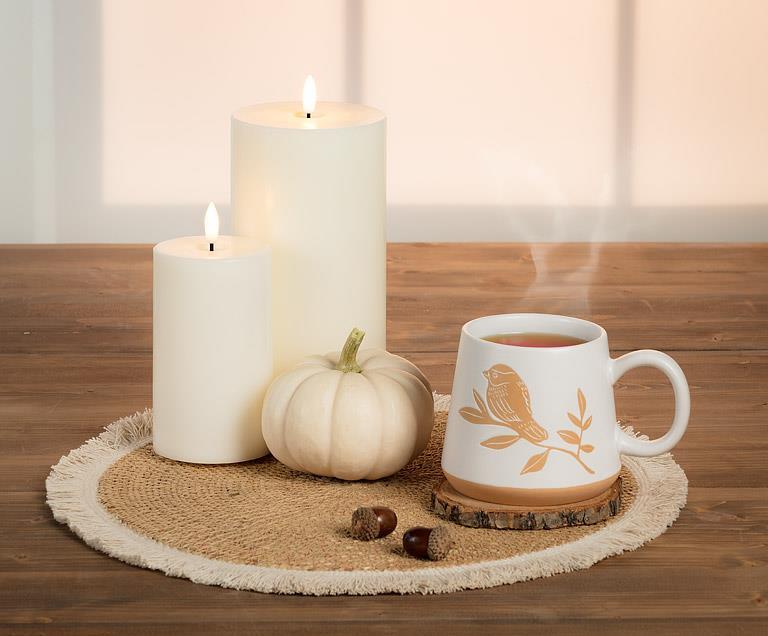 Grande tasse avec oiseau et branche