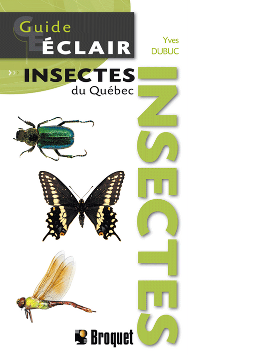 Guide-Éclair Insectes du Québec