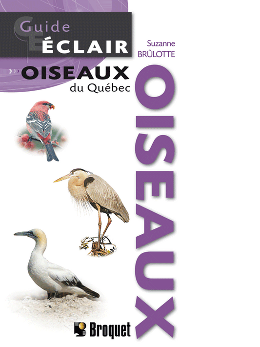 Guide-Éclair Oiseaux du Québec