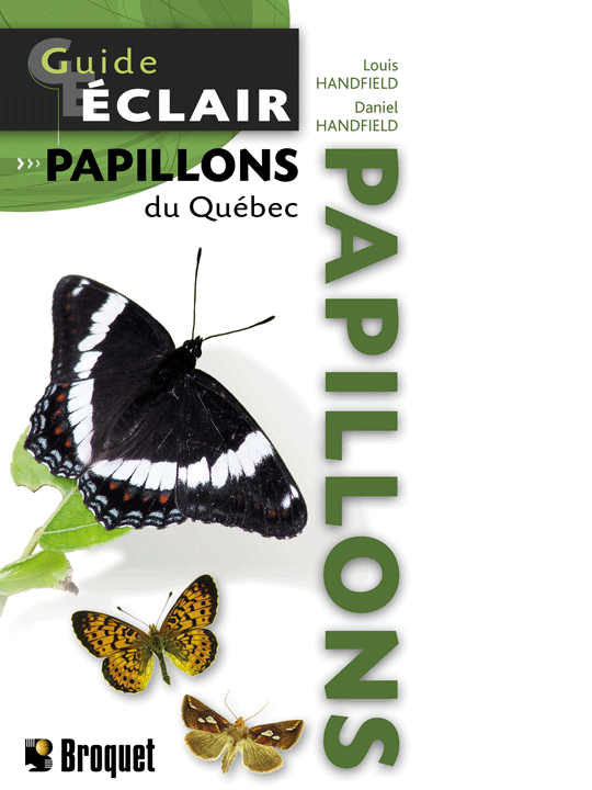 Guide-Éclair Papillons du Québec