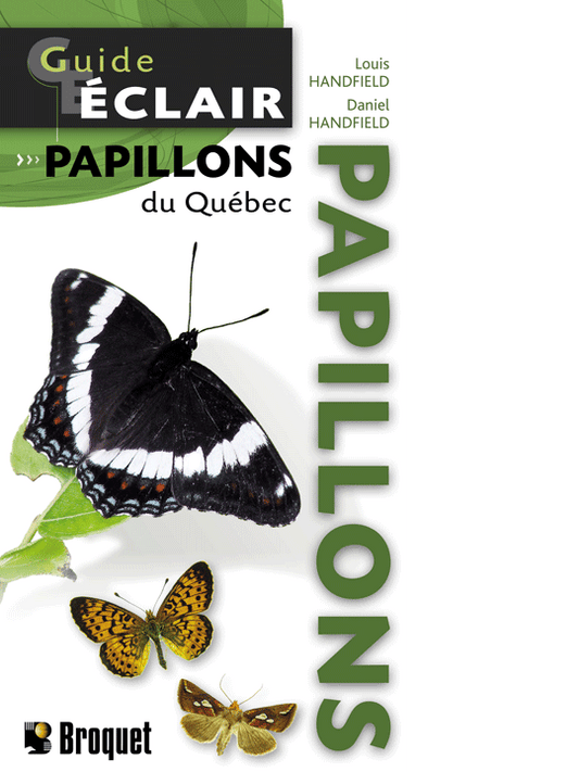 Guide-Éclair Papillons du Québec