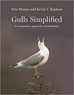 Gulls Simplified: a Comparative Approach to Identification