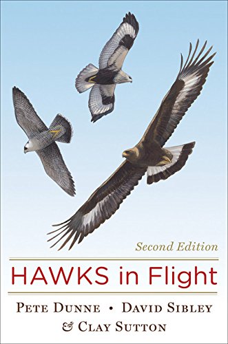 Hawks in Flight (2ieme édition)