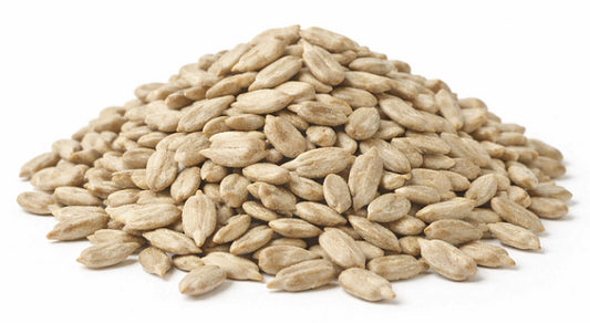 Tournesol écalé (2,2kg)
