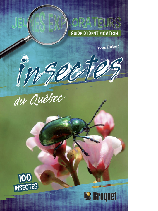 Insectes du Québec (Guide Jeunes explorateurs)