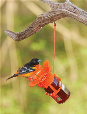 Mangeoire à gelée pour orioles
