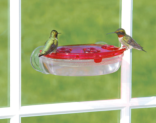 Abreuvoir colibri Jewel Box