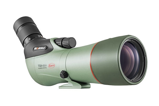 Kowa TSN 66mm coudé et oculaire 25-60x