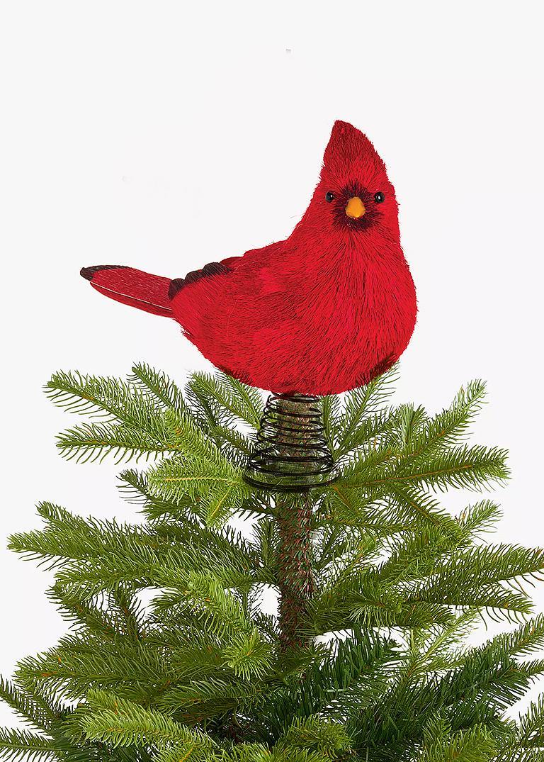 Cardinal pour haut de sapin