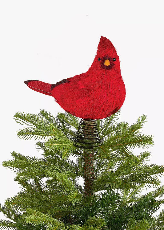 Cardinal pour haut de sapin