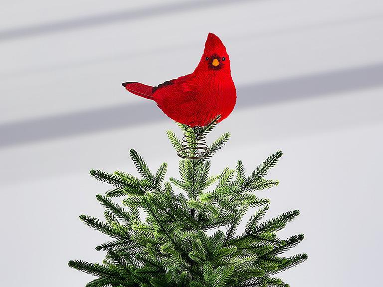 Cardinal pour haut de sapin