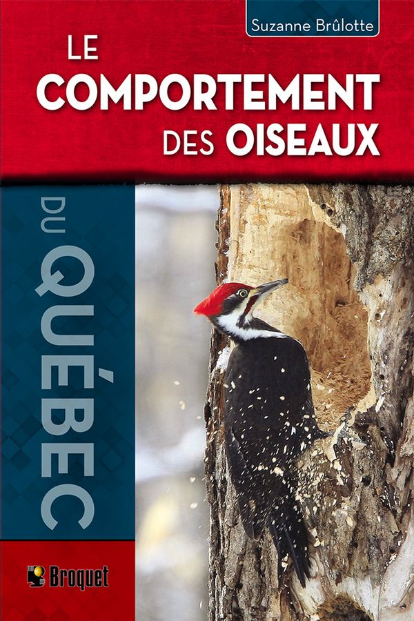 Le Comportement des oiseaux du Québec