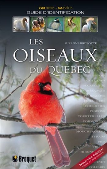 Les oiseaux du Québec - Suzanne Brûlotte (Fr)