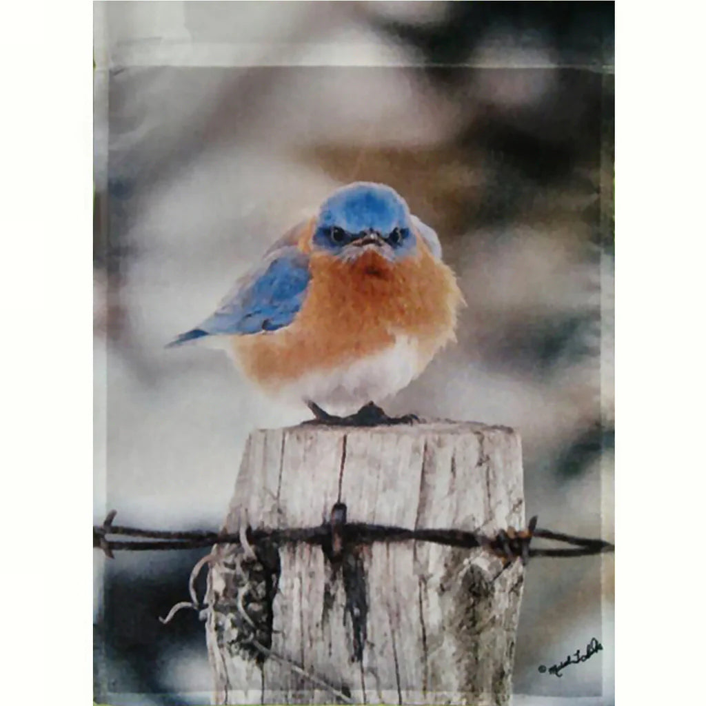 Drapeau Mad Bluebird 28"x40"