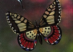 Protège-moustiquaire aimanté - Papillon brun et jaune