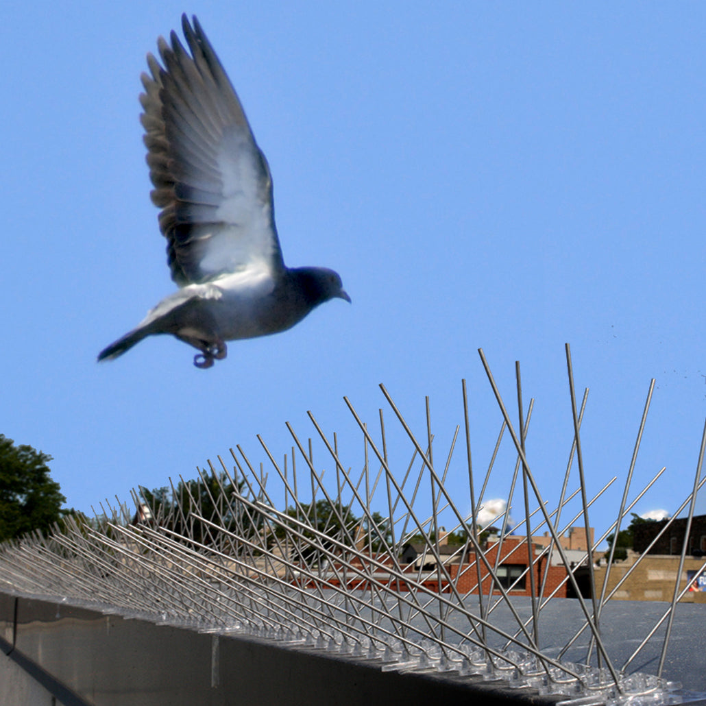 Pic anti-oiseaux en métal Bird-X - 10 pieds