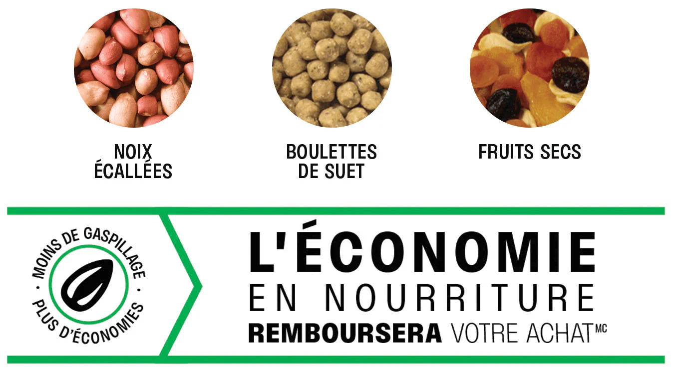 Squirrel Buster Nut Feeder