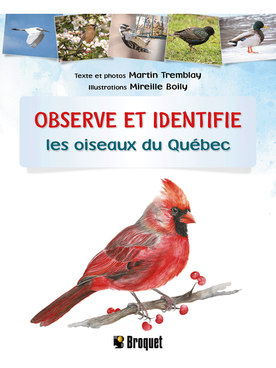Observe et identifie les oiseaux du Québec (Fr)