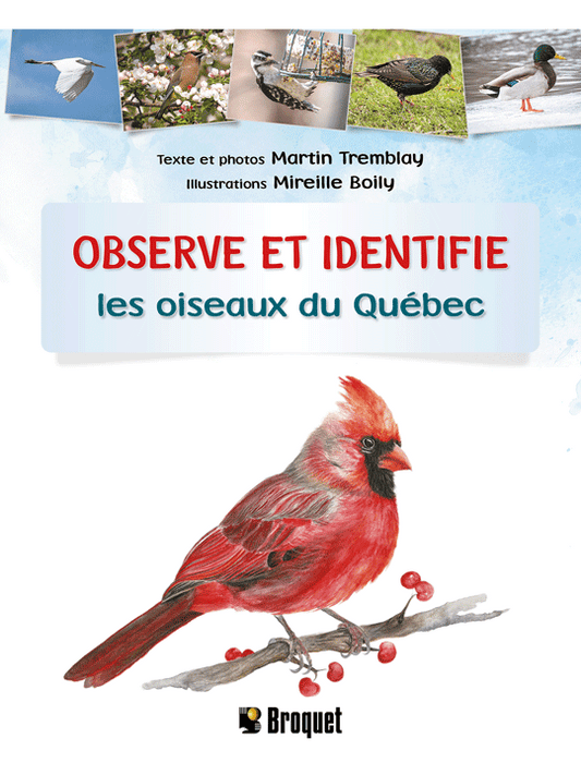 Observe et identifie les oiseaux du Québec (Fr)