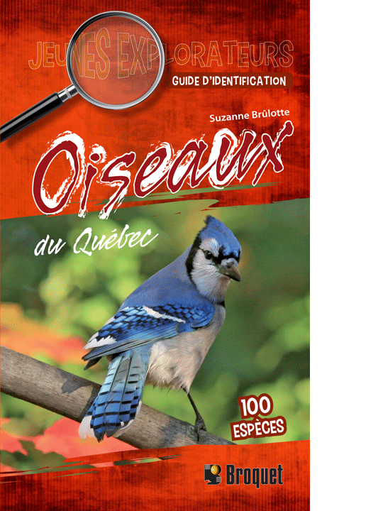 Oiseaux du Québec (Guide Jeunes explorateurs)