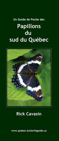 Papillons du sud du Québec (Guide de poche)