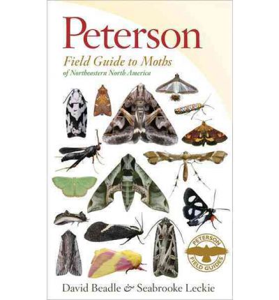 Peterson Field Guide to Moths of Northeastern North America