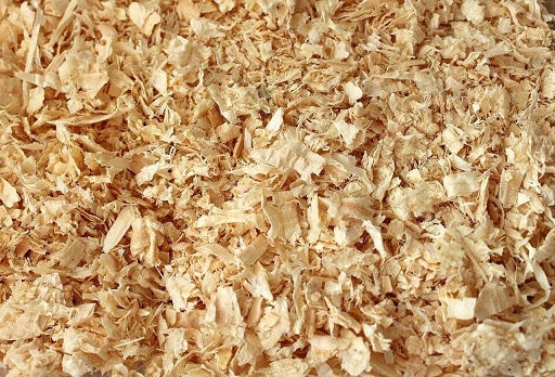 Ripe de pin et d'épinette
