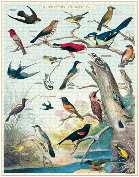 Casse-tête 1000 morceaux - Oiseaux Audubon
