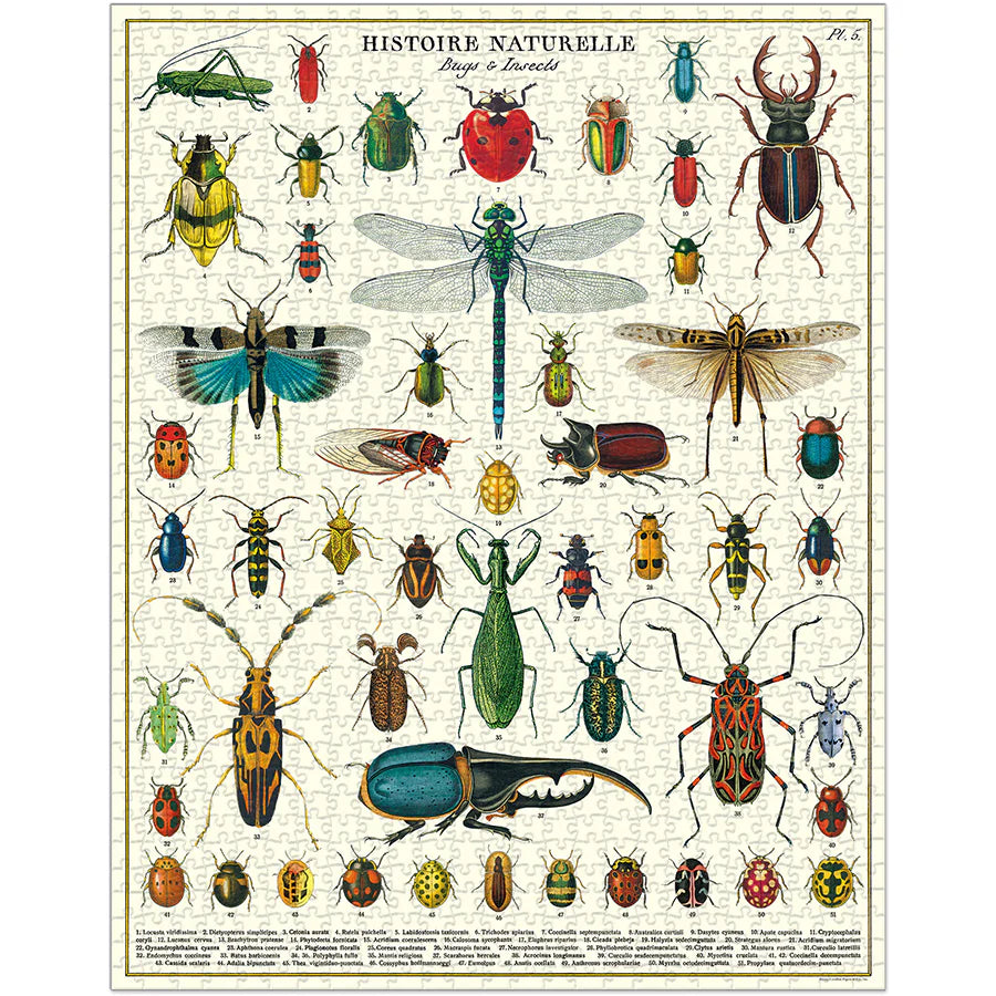 Casse-tête 1000 morceaux - Insectes