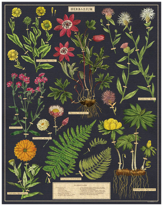 Casse-tête 1000 morceaux - Herbier