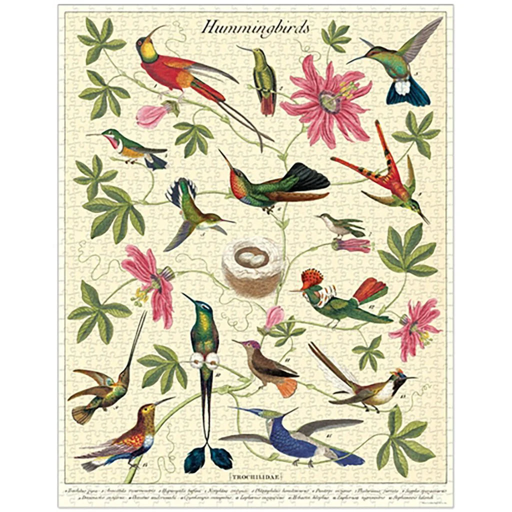 Casse-tête 1000 morceaux - Colibris Cavallini