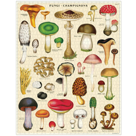 Casse-tête 1000 morceaux - Champignons