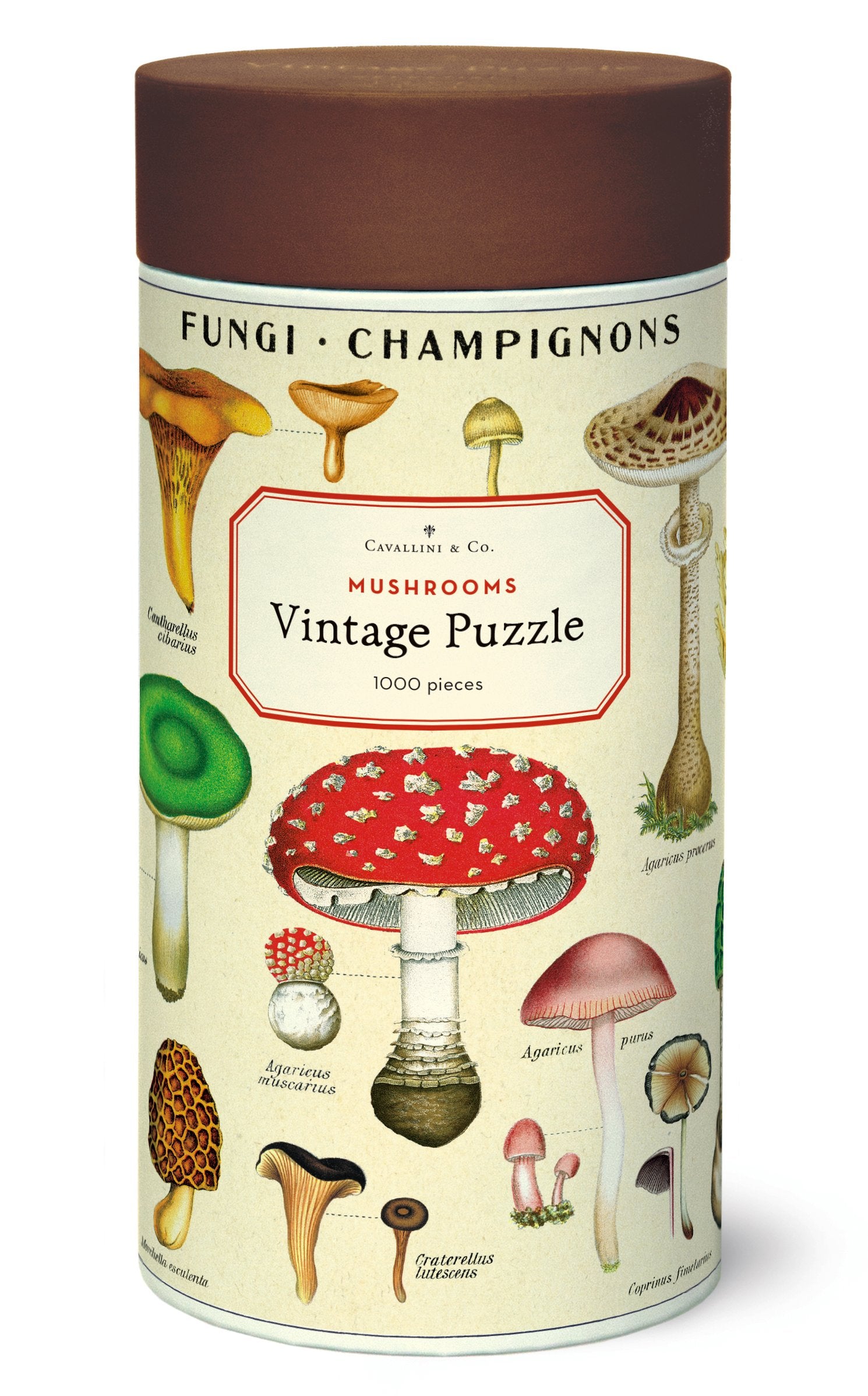 Casse-tête 1000 morceaux - Champignons