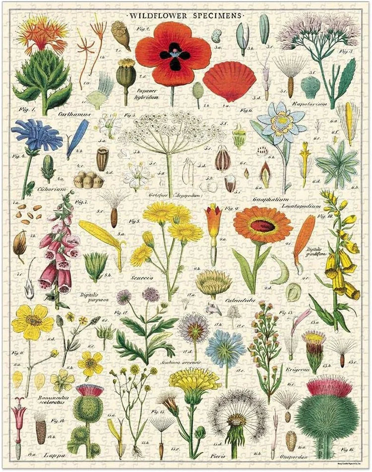 Casse-tête 1000 morceaux - Fleurs à l'ancienne