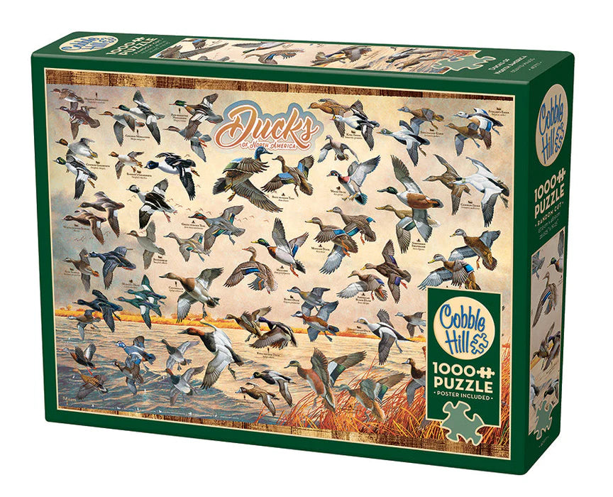 1000-Piece Jigsaw Puzzle - North American Ducks
