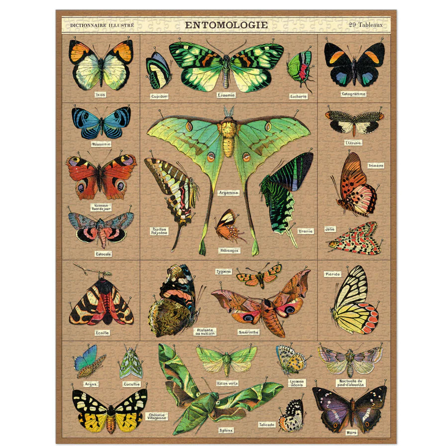 Casse-tête 1000 morceaux - Entomologie