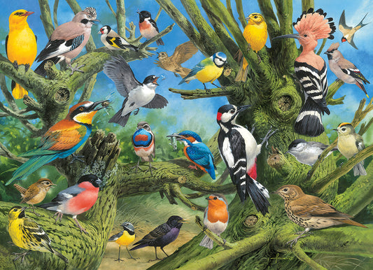Casse-tête 1000 morceaux - Oiseaux de jardin - monde