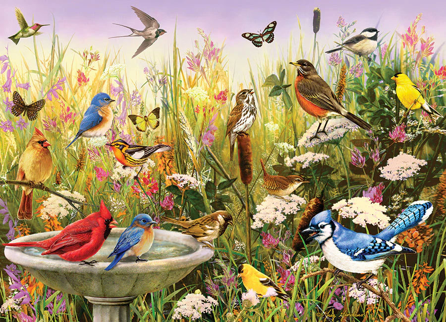 Casse-tête 1000 morceaux - Oiseaux de prairie et bain