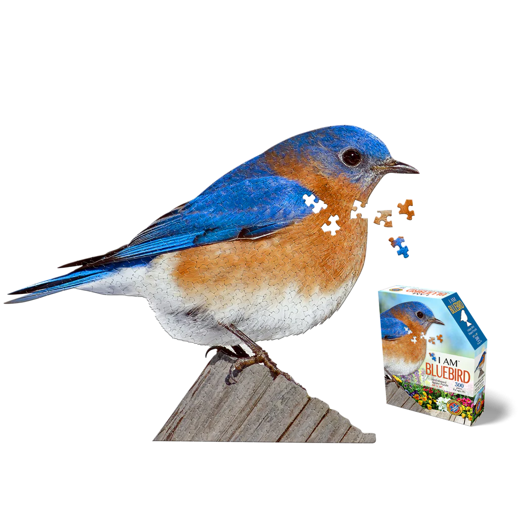 Casse-tête 300 morceaux - I am Bluebird