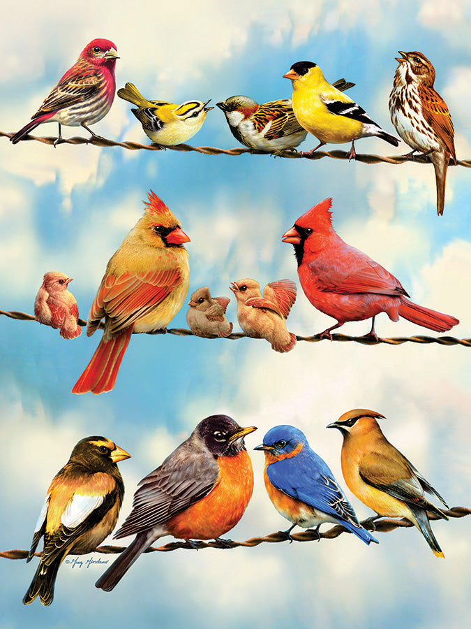 Casse-tête 35 morceaux - Oiseaux sur fil