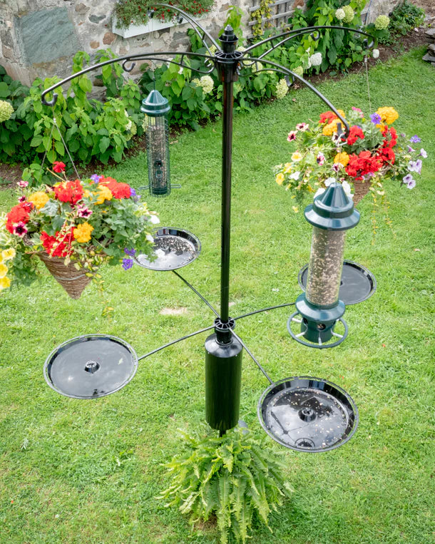 Ensemble de plateaux pour poteau raccoon buster