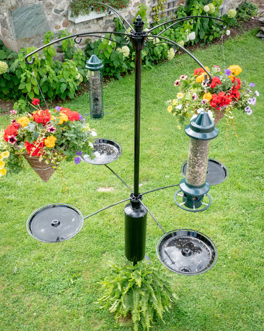 Ensemble de plateaux pour poteau raccoon buster