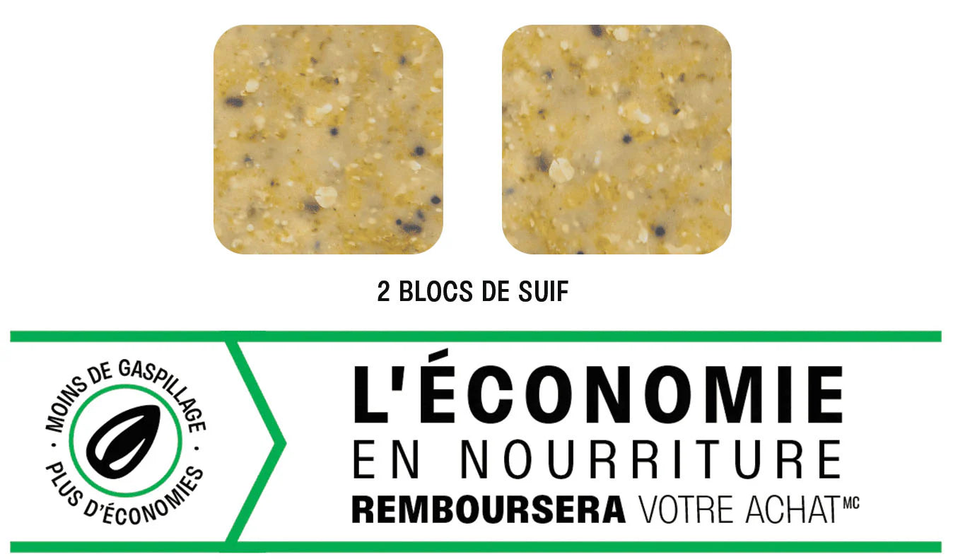 Squirrel Buster pour Suif