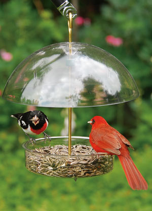 Mangeoire Seed Saver  X-1 Droll Yankees