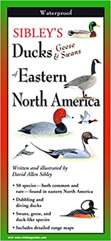 Sibley Ducks &amp; Geese &amp; Swans of Eastern North America 
